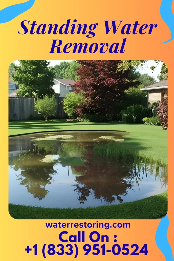 Standing Water Removal in Yankee Hill, NE